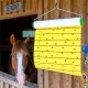 7-meter flypaper strip