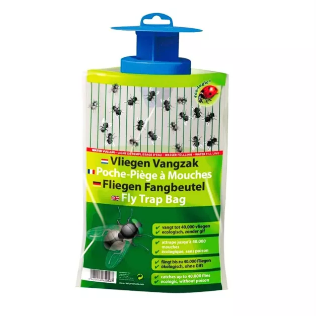 Fly trap with bait