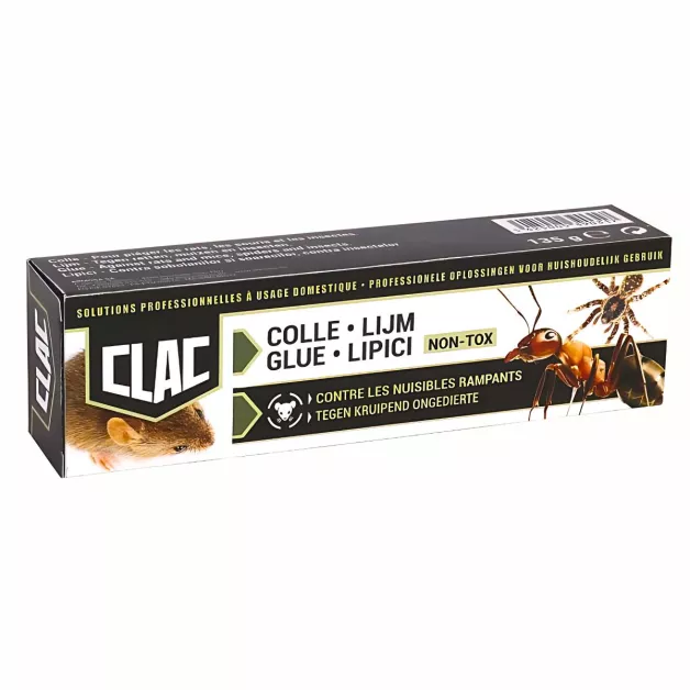 Mouse glue trap CLAC Mouse glue trap CLAC