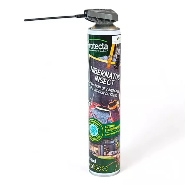 Hibernatus insect – Elimination of insects by cold