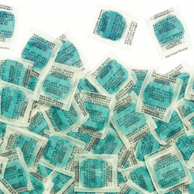 Professionele oplossing tegen ratten Professionele oplossing tegen ratten