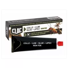 Mouse glue trap CLAC Mouse glue trap CLAC