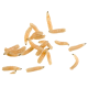 Maggots - soluble granular larvicide