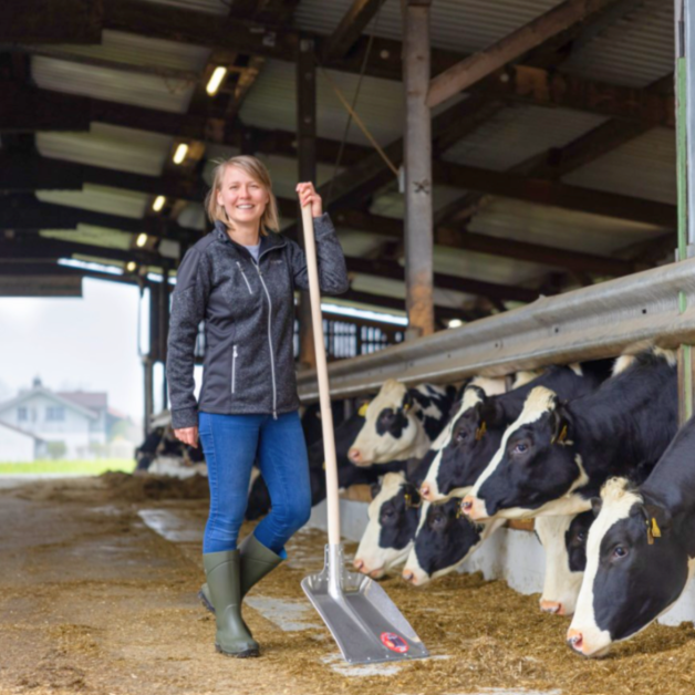 Pelles à grain en aluminium