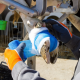 Work gloves