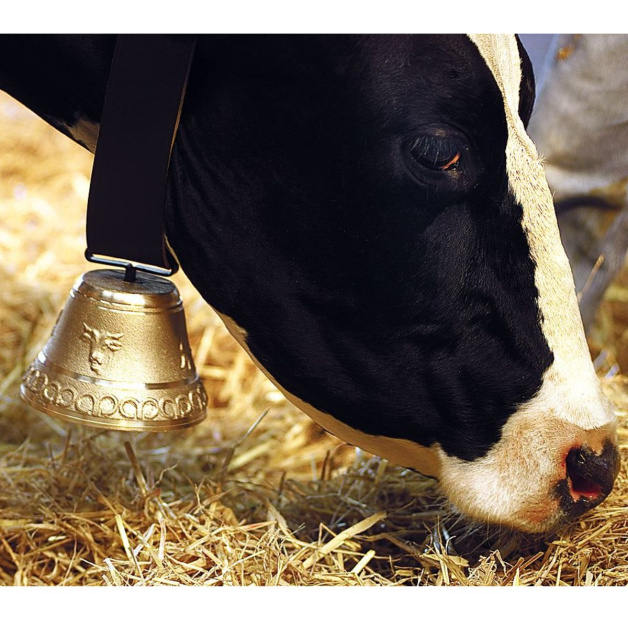 Alpine bell for cattle