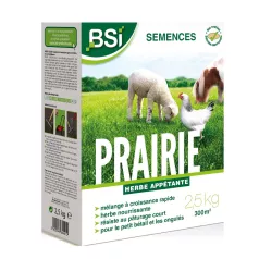 Semences gazon prairie pour poulailler BSI 2.5 kg Semences gazon prairie pour poulailler BSI 2.5 kg