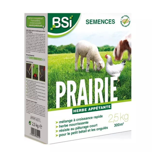 Grass seeds for chicken coop pasture BSI 2.5 kg
