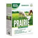 Prairie lawn seeds for chicken coop BSI 2.5 kg