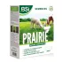 Semences gazon prairie pour poulailler BSI 2.5 kg