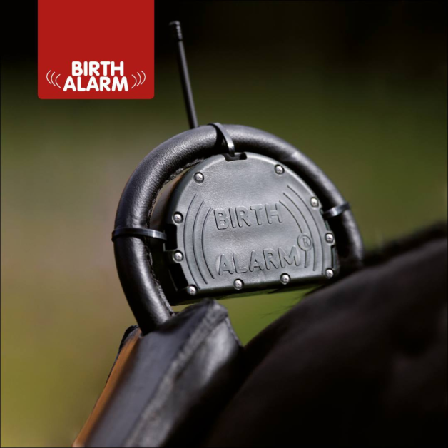 Alarme de naissance Alarme de naissance