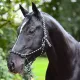 Licol en corde nouée pour chevaux