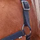 Licol Nylon "Pro" cheval de trait
