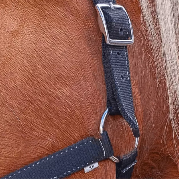 Nylon Halter "Pro" Draft Horse