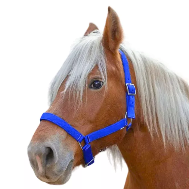 Nylon Halter "Pro" Draft Horse