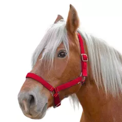 Licol Nylon "Pro" cheval de trait Licol Nylon "Pro" cheval de trait