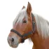 Licol Nylon "Pro" cheval de trait : Couleur:Brun