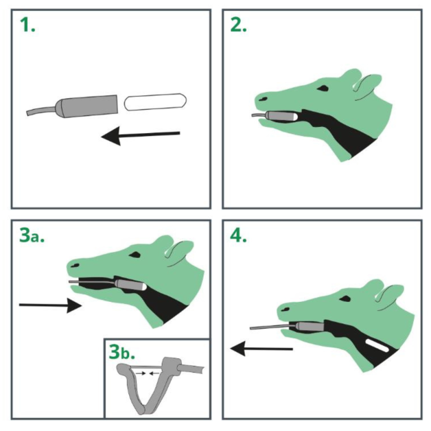 Lanceer bolussen en magneten.