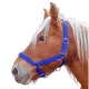 Licol Nylon "Pro" cheval de trait