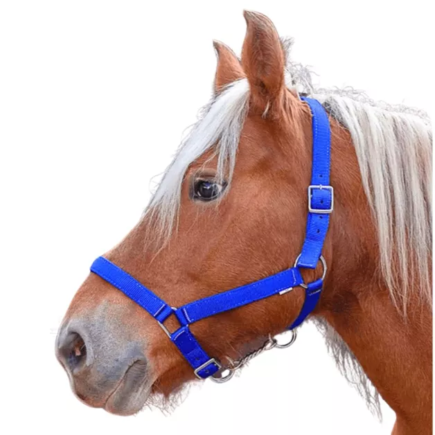 Nylon Halster "Pro" trekpaard Nylon Halster "Pro" trekpaard