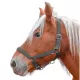 Licol Nylon "Pro" cheval de trait