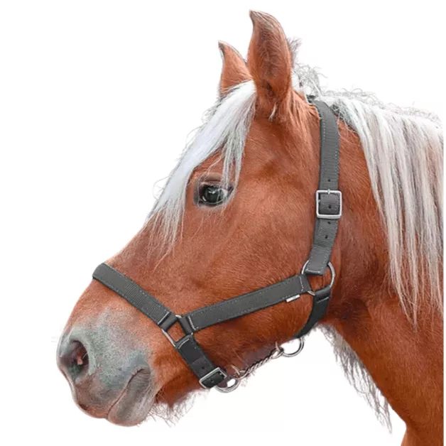 Nylon Halter "Pro" Draft Horse