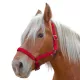 Licol Nylon "Pro" cheval de trait