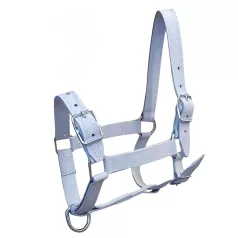 Halsters voor trekpaarden Halsters voor trekpaarden