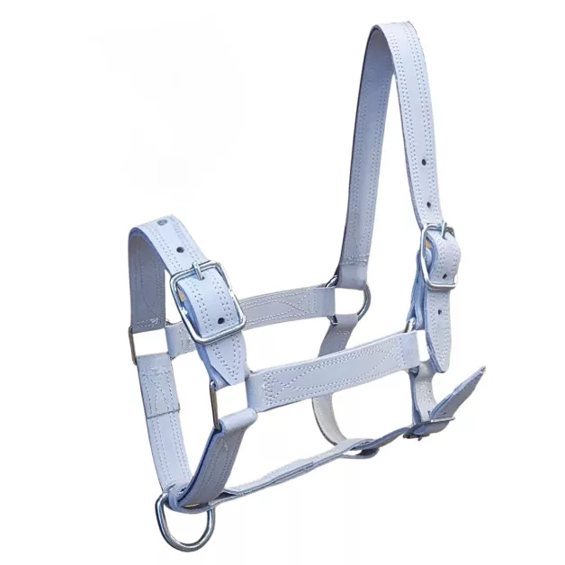 Licols pour cheval de trait