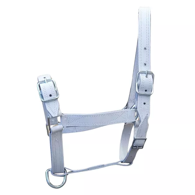 Draft horse halters