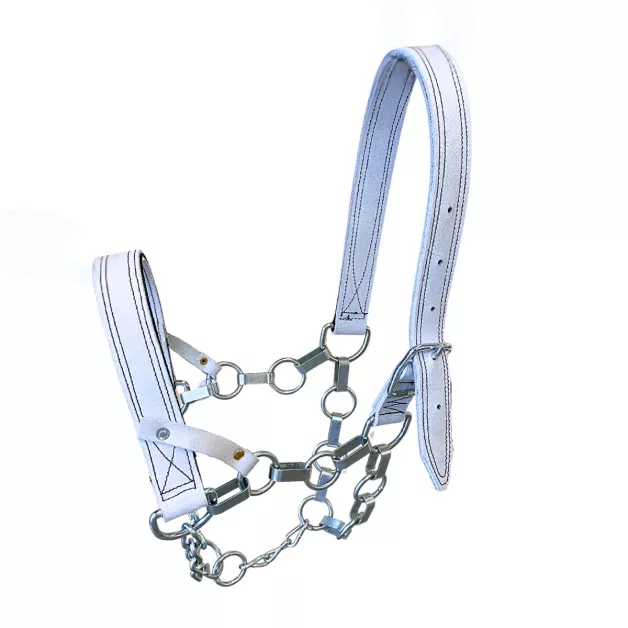 Halsters voor trekpaarden