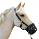 Muzzle basket
