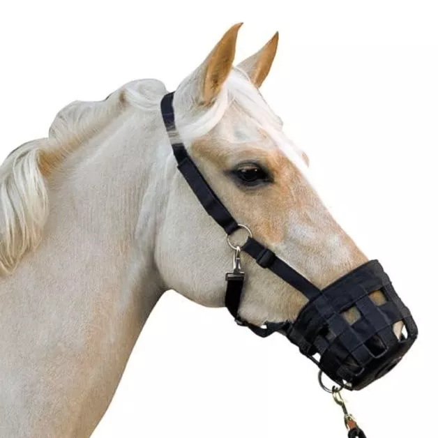 Muzzle basket Muzzle basket