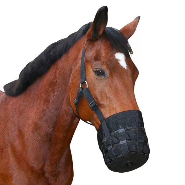 Muzzle basket Muzzle basket