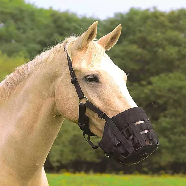 Muzzle basket Muzzle basket