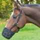 Muzzle basket