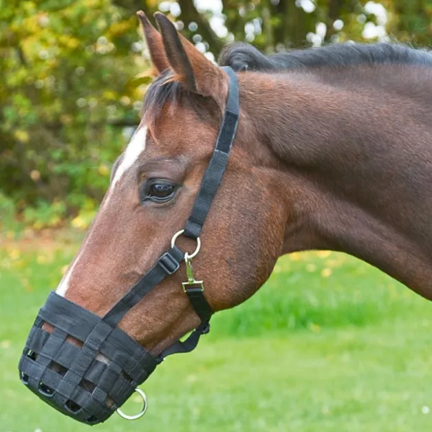 Muzzle basket Muzzle basket