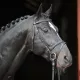 Leather bridle