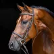 Bridon en cuir