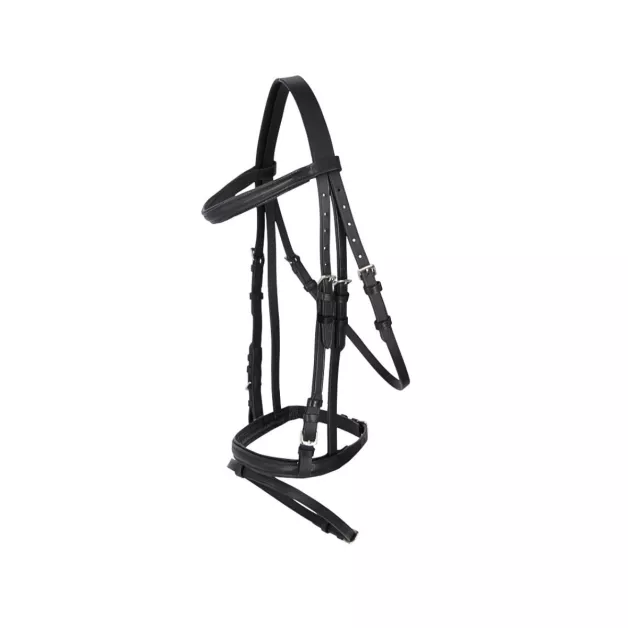 Leather bridle