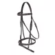 Leather bridle