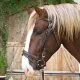 Leren hoofdstel