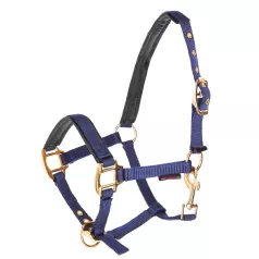 Licol Norton en nylon pour Poulain Licol Norton en nylon pour Poulain