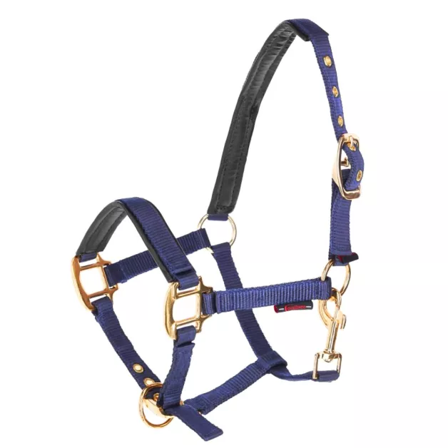 Licol Norton en nylon pour Poulain