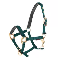 Licol Norton en nylon pour Poulain Licol Norton en nylon pour Poulain