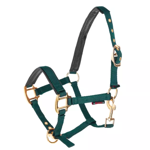 Norton nylon halter for foal