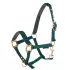 Norton nylon halter for foal : Color:Dark green