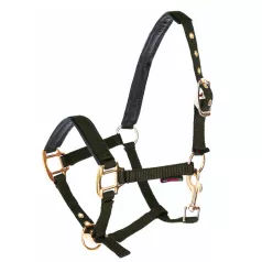 Licol Norton en nylon pour Poulain Licol Norton en nylon pour Poulain