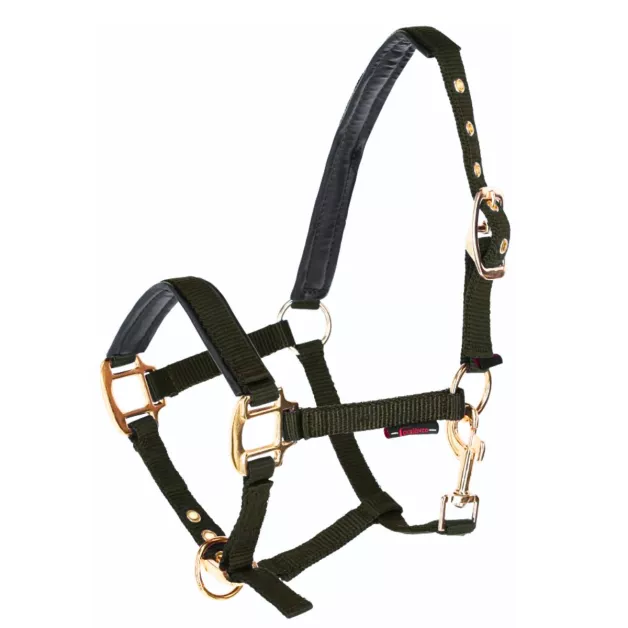 Norton nylon halter for foal