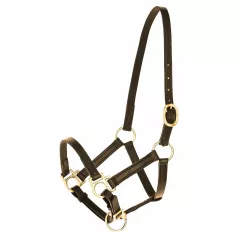 Foal leather halter Foal leather halter